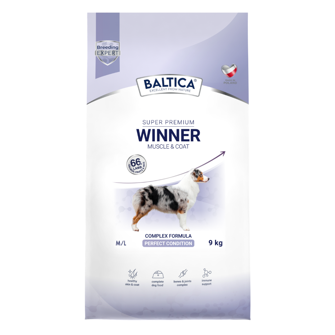 Winner – karma dla psów wystawowych